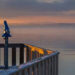 Večerní Venčení: Kdy Naposledy Vyvést Psa?