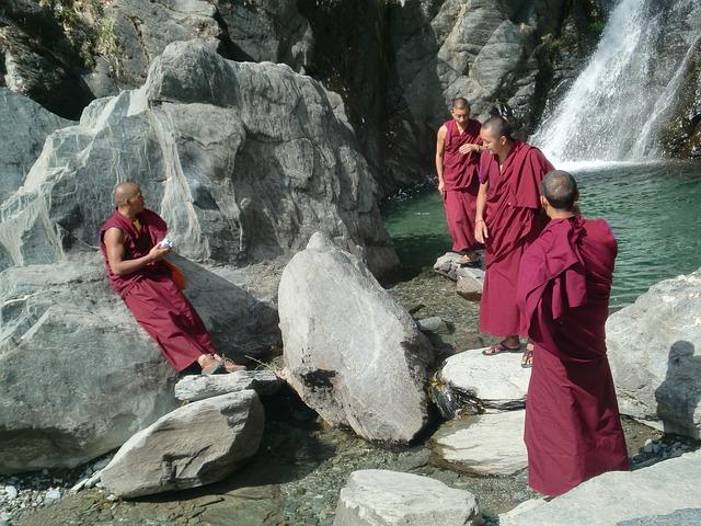 Tibetský Mastif Výška: Jak Vysoký Může Být?