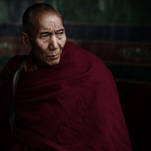 Šesti Měsíční Tibetský Mastif: Růst a Vývoj Mladého Psího Obra