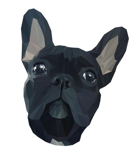 Francouzský buldoček spí: Je to normální?