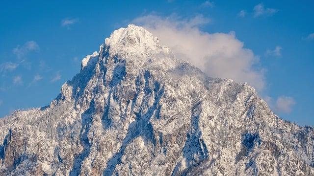Modrá tibetská doga: Vzácnost, která okouzlí každého