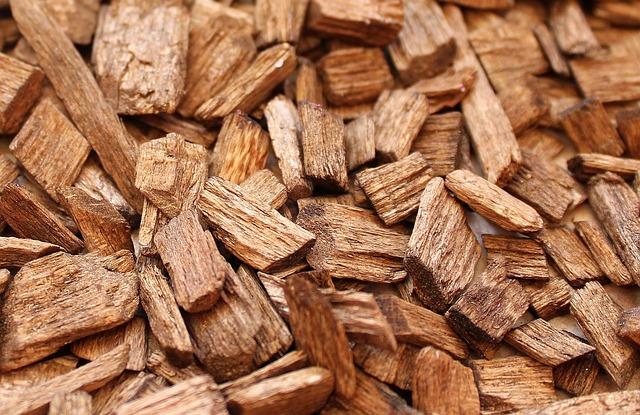 Top granule pro štěně zlatého retrívra: Co doporučují chovatelé