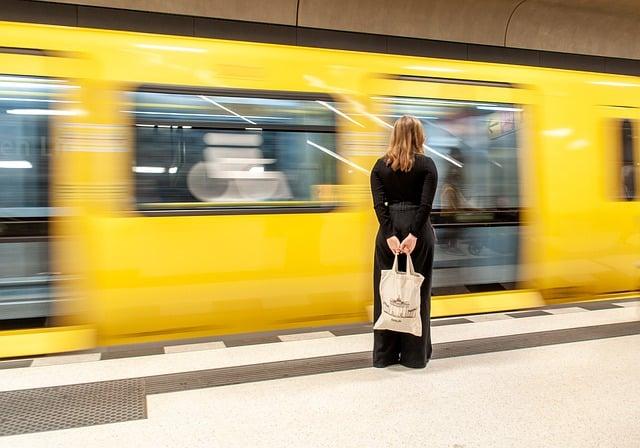 Chovatelské Stanice Středočeský Kraj: Psi s Původem