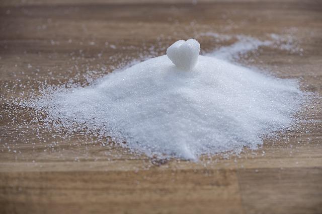 Granule pro Border Kolie: Jak vybrat ty nejlepší?