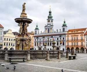 České Budějovice: Do Psí Misky pro Gurmány?