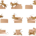 Kdy psat ‚mě‘ nebo ‚mne‘: Gramatika v praxi