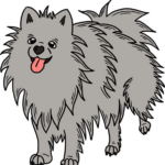 Jméno pro Pomeraniana: Inspirace pro Vašeho Nového Člena
