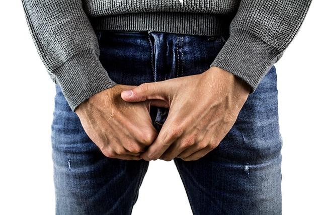 Kdy sestupují varlata u psa: Vývoj a zdraví