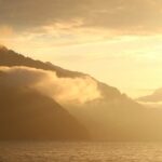 Bernský salašnický pes fena: Ideální rodinný pes?