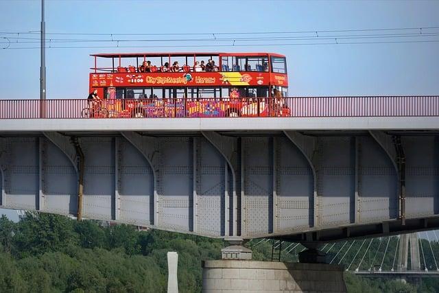 Jak vybrat správného trenéra pro šampionátní úspěch
