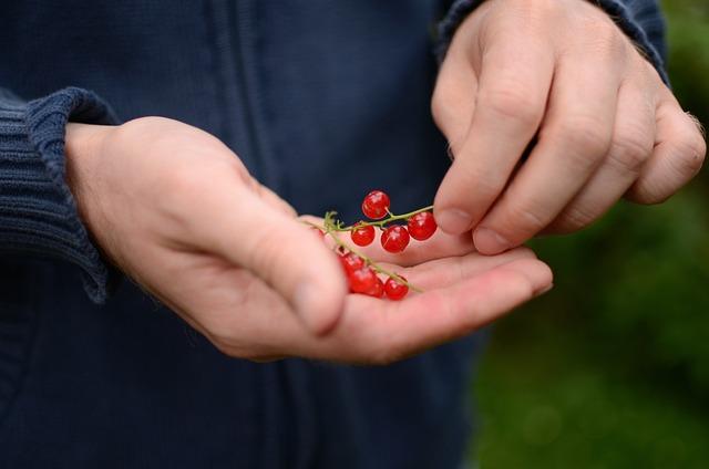 Důležité Kroky Při Poskytování Pomoci Psu v Nouzi