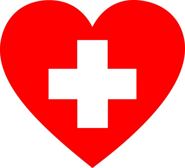 Jak poskytnout první⁣ pomoc psu ​s zvracením a průjmem doma?