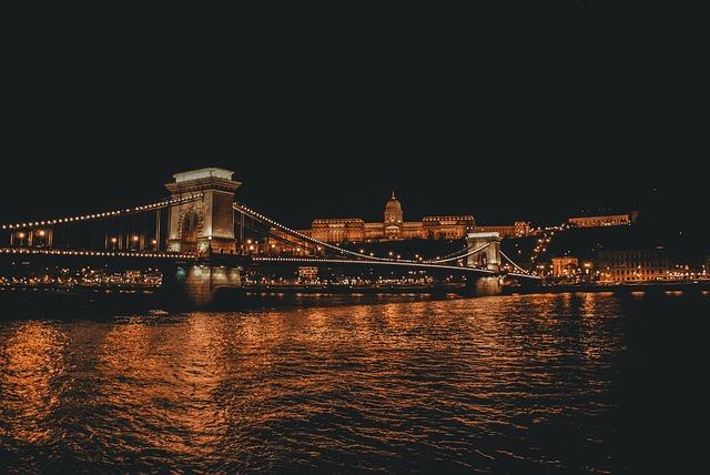 Staňte se vůdcem smečky: výchova feny s jasnými pravidly