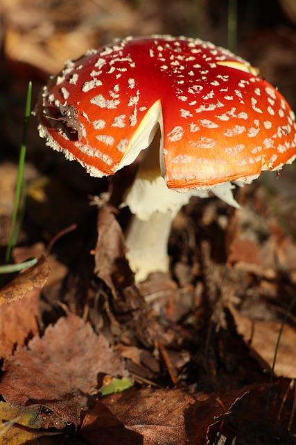 Rizika spojená se špatným výběrem nůžek