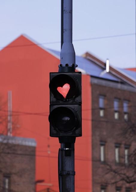 5. Příznaky infekce klíšťaty u psů, na ​co si dát pozor