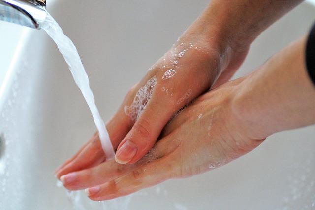 Kdy je vhodné začít s prevencí odčervení u psa
