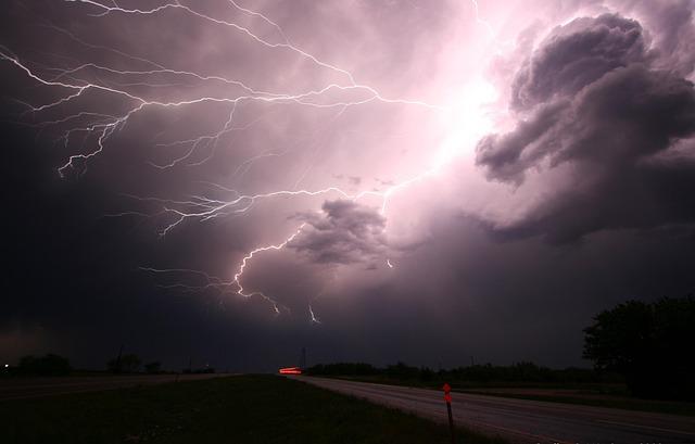 Nebezpečí agresivity u stafordšírského bulteriéra