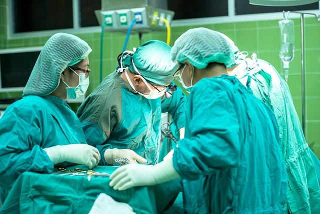 Profesionální pomoc pro stafordšírské bulteriéry s problémy chování