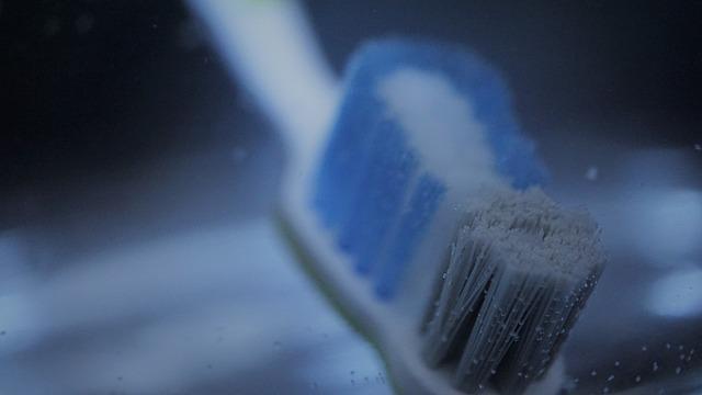 Pravidelná údržba očí psa pro prevenci potenciálních problémů