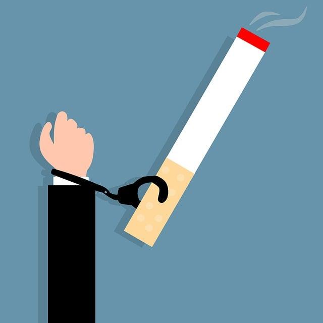 Zdravotní rizika: Jak minimalizovat ‍riziko nemocí u psů vhodných pro bytové podmínky