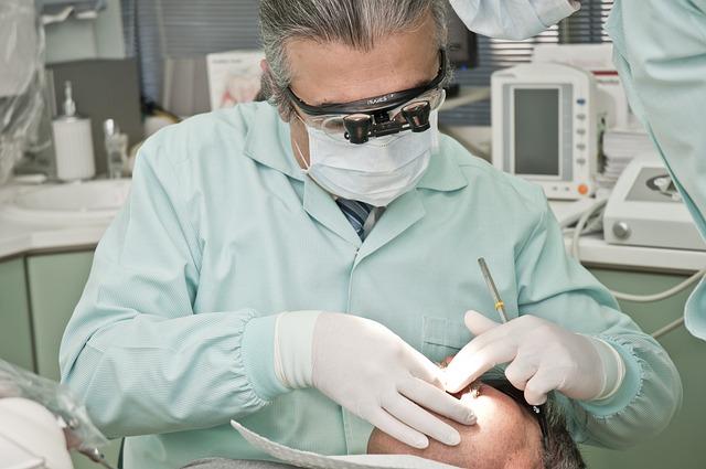 Zdravotní péče o Akita Inu: Prevence a péče o geneticky podmíněné nemoci