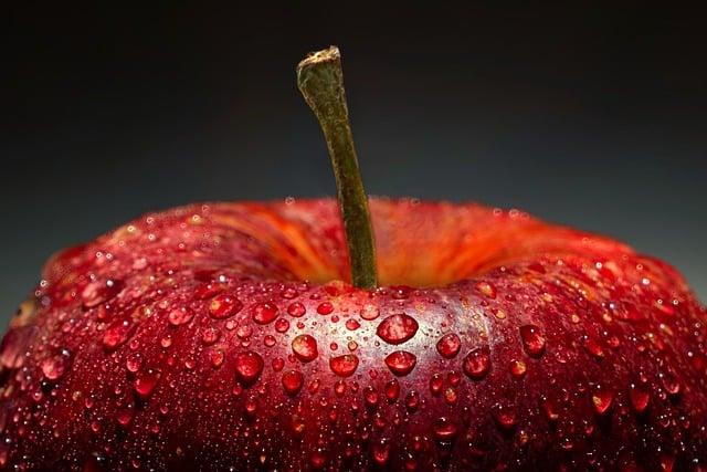 3. Co Je Zdravé:⁣ Klíčové Nutriční Složky Pro Optimální​ Zdraví Psů