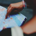 Kde koupit Border Kolii: Průvodce pro budoucí majitele