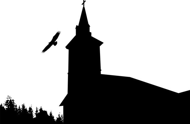 Proč kastrovat psa: Zdravotní a společenské důvody