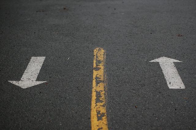 Jaký je význam pravidelných návštěv u psího kadeřníka?