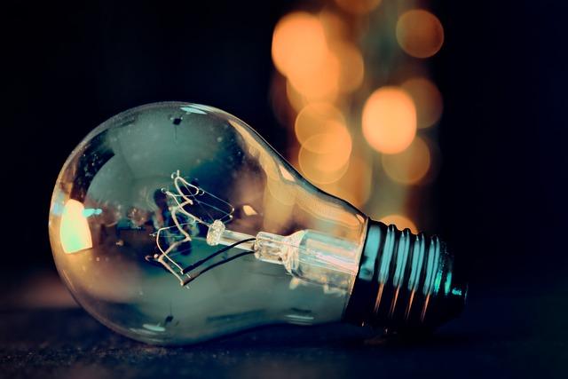 Energie a potřeba pohybu: Které plemeno⁤ vyžaduje více ⁤aktivity?