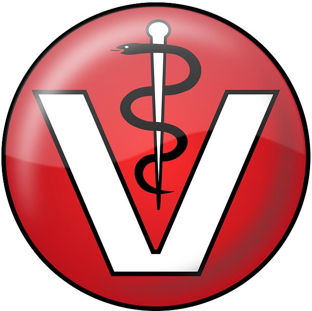 Jak se veterinář při vyšetření výtoků přístupuje k diagnostice