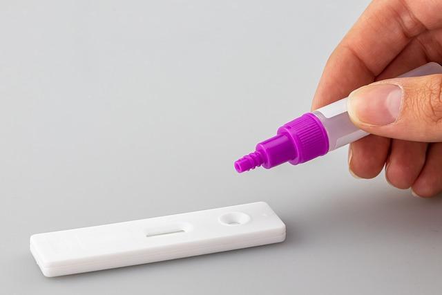 Testování pro krátkosrstost u štěňat Border Kolie