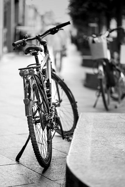 Zajímavosti o menstruačním cyklu fen