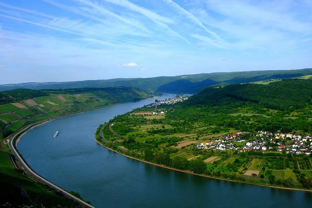Všestranné využití nahubku na stafordšírského bulteriéra v různých situacích