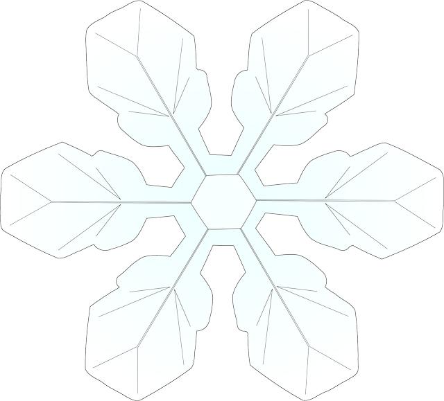 Jak‍ zabránit podchlazení stafordšírského bulteriéra⁢ v zimě?