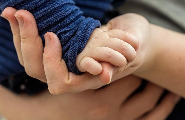 Podpora a péče o fenu po skončení cyklu