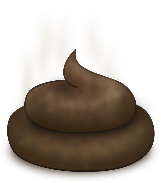 Vliv konzumace výkalů na zdraví psa