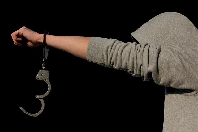 Prevence agresivního chování: cvičení a socializace