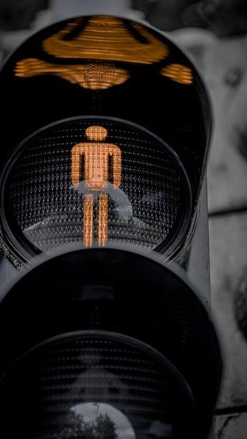 Signály strachu a stresu u psa: jak jim porozumět