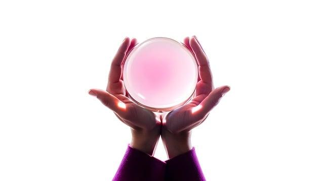 Psychické a fyzické stimulace: Klíčové prvky pro prevenci nežádoucího chování u psa