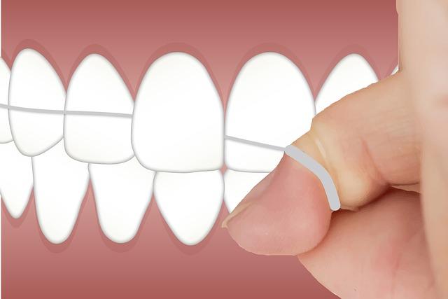 10. Profesionální čištění zubů u veterinárního dentálního hygienika: Co očekávat?