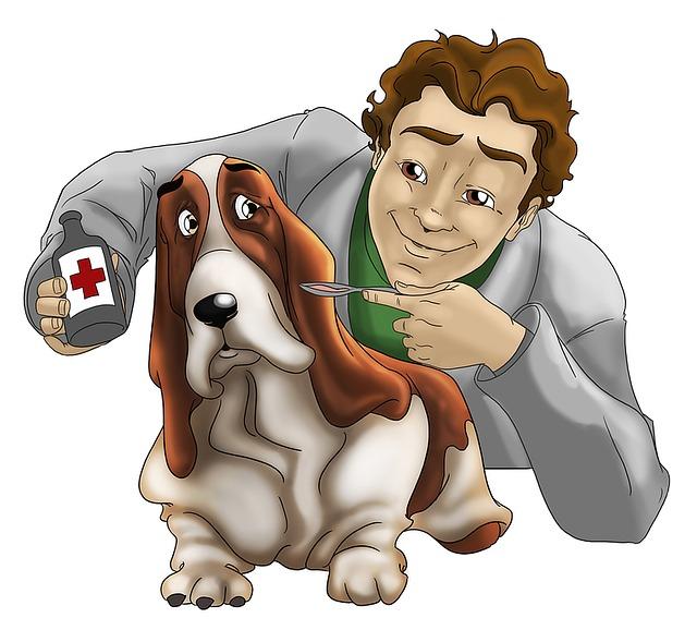 Doporučené veterinární prohlídky pro ⁣štěně Border kolie
