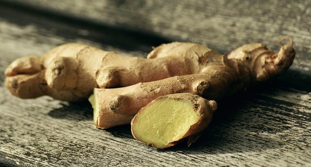 Jak správně aplikovat preventivní prostředky proti blechám u psa
