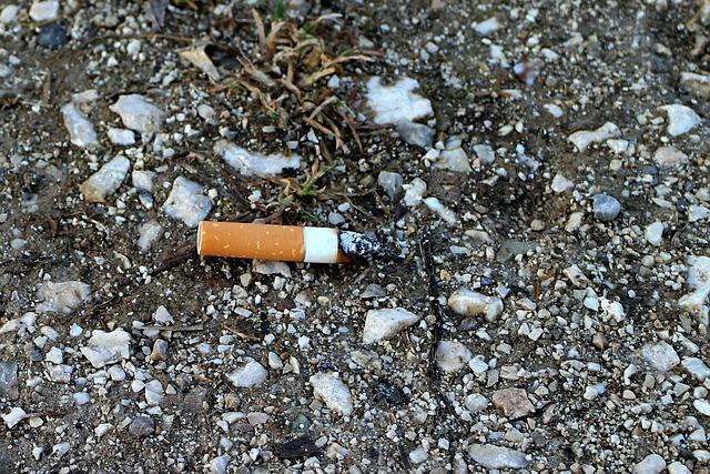 Jak eliminovat stres a nervozitu, které mohou negativně ovlivnit chuť psa k jídlu