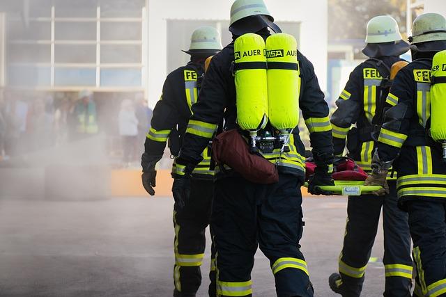 Jak odstranit uvolněné chlupy a detailní procedura trimování